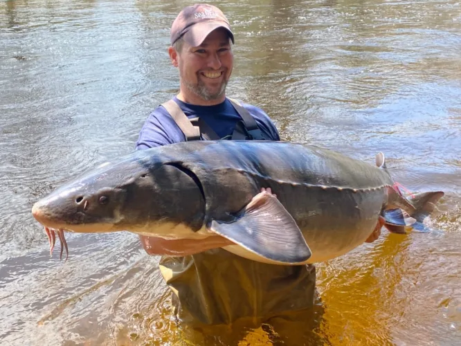 Great Lakes fisheries: People, fish, and the waters that connect us